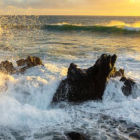 Nach der Welle von Martijn Schruijer