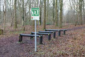 Fitness equipment in a forest - One stage of many von Micha Klootwijk
