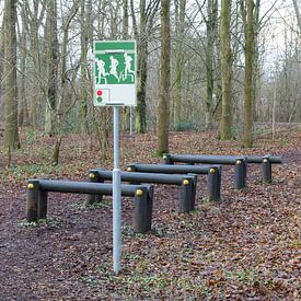 Fitness equipment in a forest - One stage of many van Micha Klootwijk