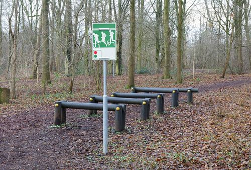Fitness equipment in a forest - One stage of many
