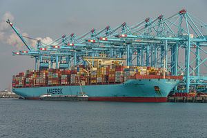 Das Mega-Containerschiff 