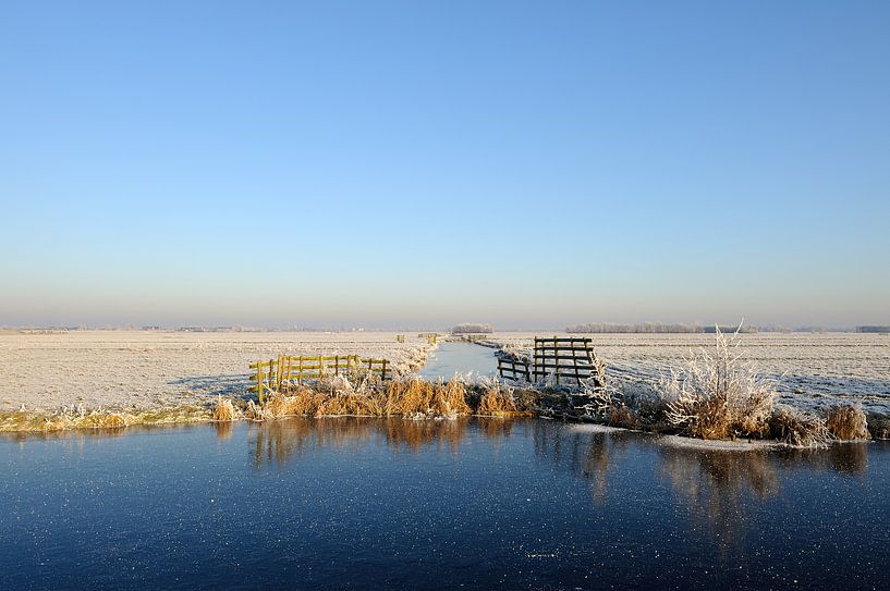Nederlands polderlandschap in de winter van Merijn van der Vliet