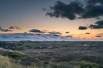 Raue Dünenlandschaft