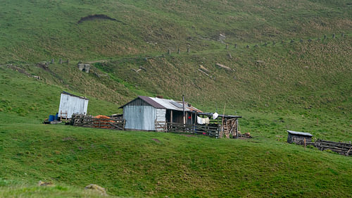 Home on the High Pasture