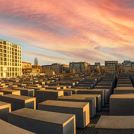 Holocaust Memorial in Berlin by John Kreukniet