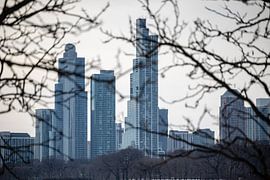 Die Skyline von Chicago durch die Bäume von Eric van Nieuwland