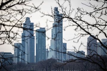 skyline van Chicago door de bomen heen