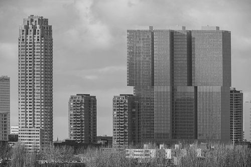 De Wilhelminapier in Rotterdam