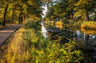 Zomerse zonsopkomst by Patrick Rodink thumbnail