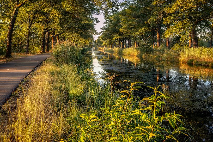 Zomerse zonsopkomst van Patrick Rodink