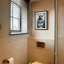 Photo de nos clients: Bœuf Highland lisant le journal sur l'affiche amusante des toilettes par Poster Art Shop, sur encadré