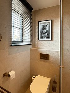 Highland Cattle Reading Newspaper on Funny WC Poster