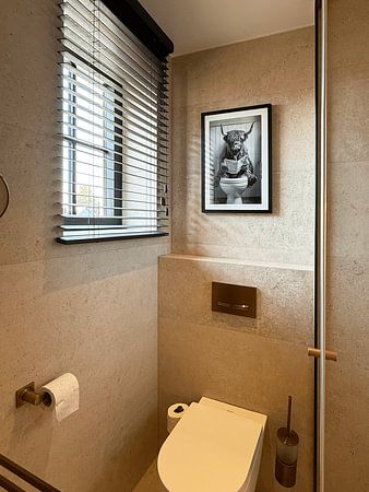Highland Cattle Reading Newspaper on Funny WC Poster