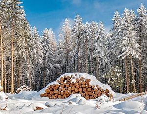 Kälte und Holz