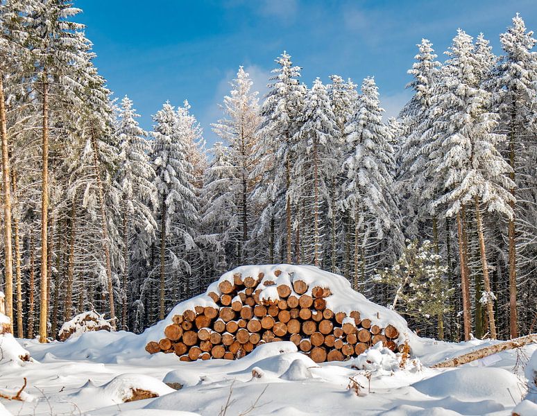 Koud en Hout van Ruud Peters