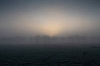 Net opkomende zon door de mist en bomen