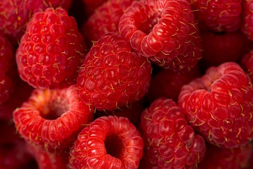 Zomerfruit: frambozen 1