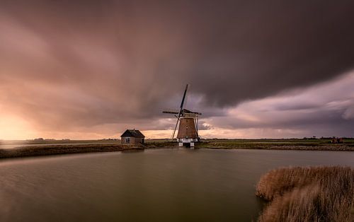 A stormy autumn day in the Netherlands