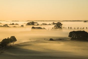 Mehr ART In Nature - Guten Morgen Friesland
