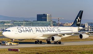 Lufthansa Airbus A340-300 in den Farben der Star Alliance.