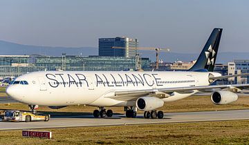 Lufthansa Airbus A340-300 in Star Alliance livery.