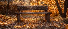 Banc d'automne dans la forêt sur Poster Art Shop