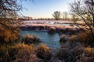 Weiland en bomen in de winter, landschapsopname in de ochtend van Fotos by Jan Wehnert thumbnail