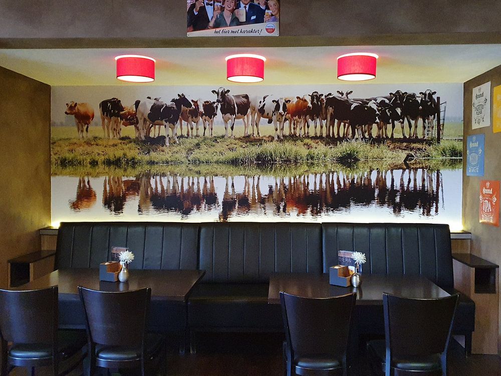 Kühe aufgereiht von Annemieke van der Wiel