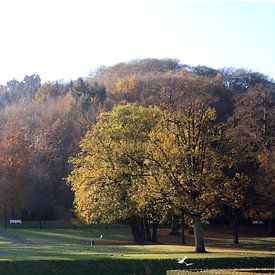 Kleve, Forstgarten van Andrea Meyer