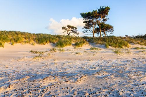 West beach in the evening light