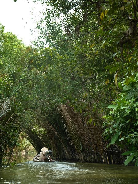 Mekong Delta by Jaap Baarends