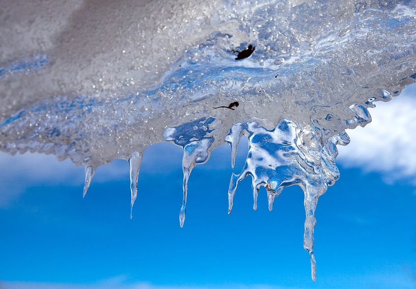 Icicle by Christa Kramer