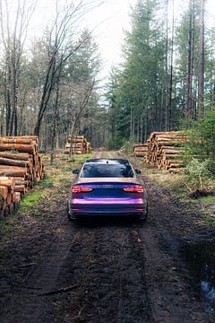 Audi RS3 in het Bos – Moderne Auto in Natuurlijke Omgeving van Sebastiaan van 't Hoog