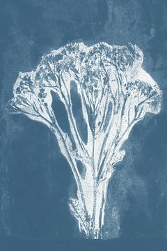 Witte bloem in retrostijl. Moderne botanische minimalistische kunst in wit op blauw. van Dina Dankers