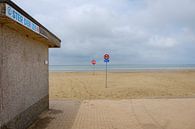 Star of the Sea on the beach by Johan Vanbockryck thumbnail