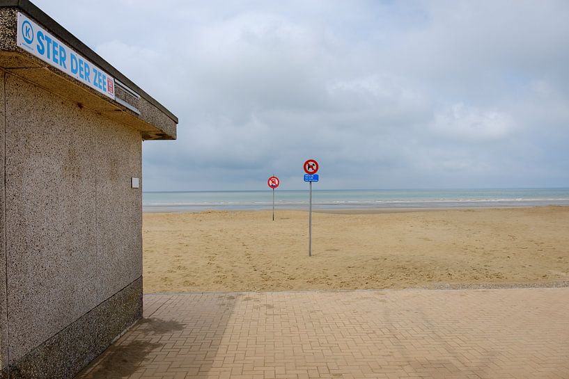 Star of the Sea on the beach by Johan Vanbockryck