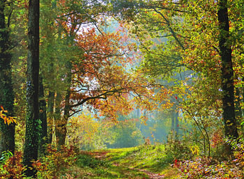 Früher Herbst