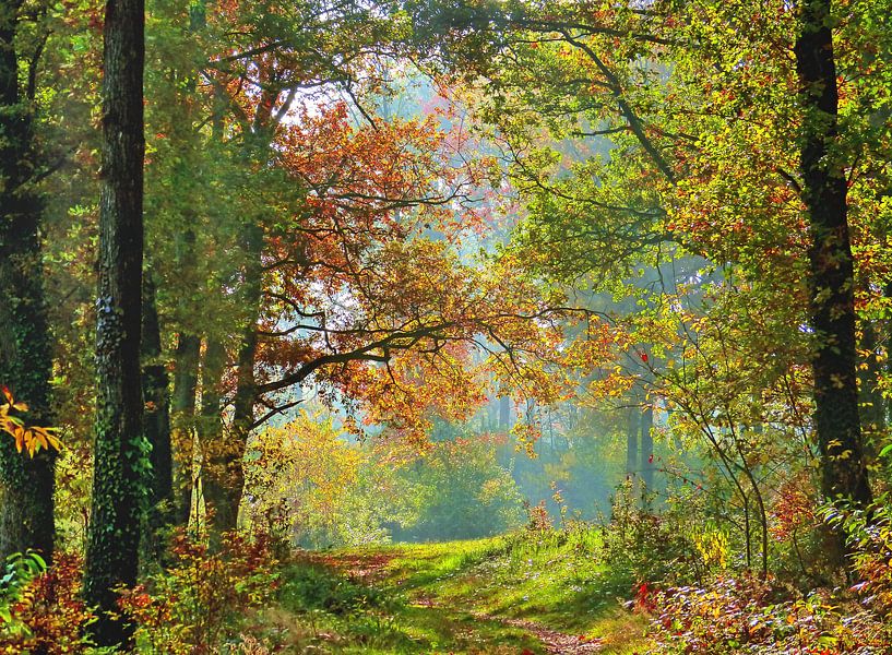 Early Autumn (Prille Herfst) van Caroline Lichthart