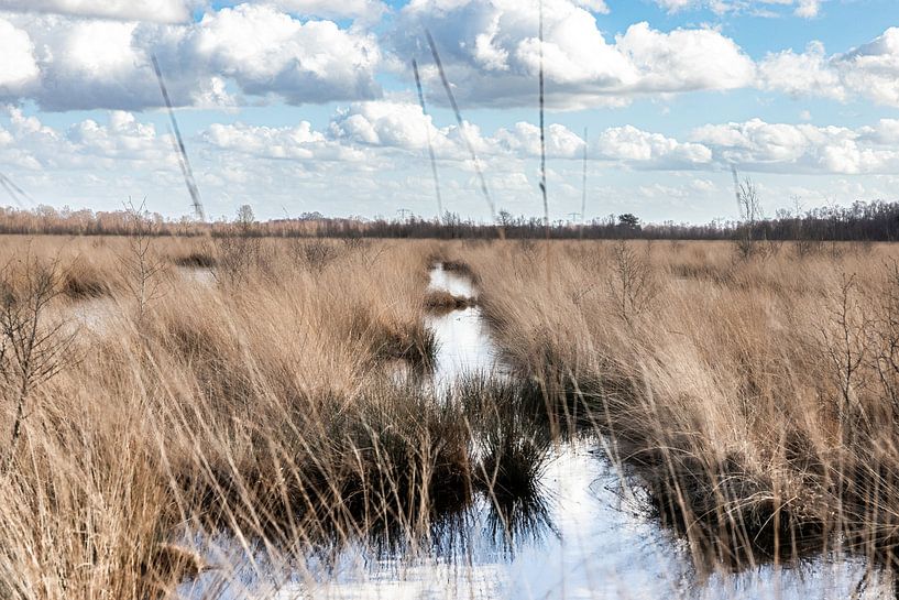 Waar de natuur ademt van Nicole Schmidt