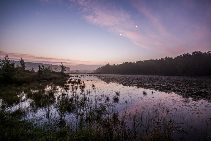 beautiful morning in summer by Bart Liesenborgs