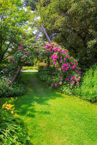 Idyllische tuin met klimroos