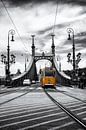 Budapest Liberty Bridge Tram historique par Carina Buchspies Aperçu