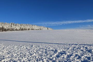 Een veld in de winter onder een blauwe hemel van Claude Laprise