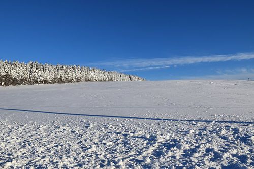 Ein Feld im Winter unter blauem Himmel