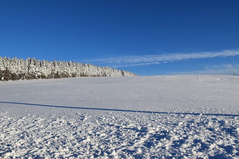A field in winter under blue skies by Claude Laprise