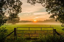 Fog above the meadow by Michel Knikker