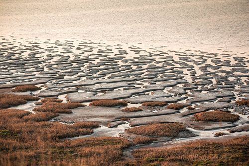 Waddenlandschap bij de Morsumse klif bij zonsondergang, Sylt