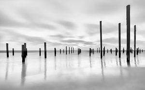 Palendorp Petten - 4
