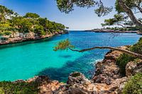 Mallorca, mooie baai van Cala Serena strand in Cala Dor