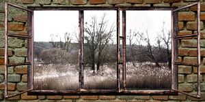 Fensterblick - Herbst in der Au